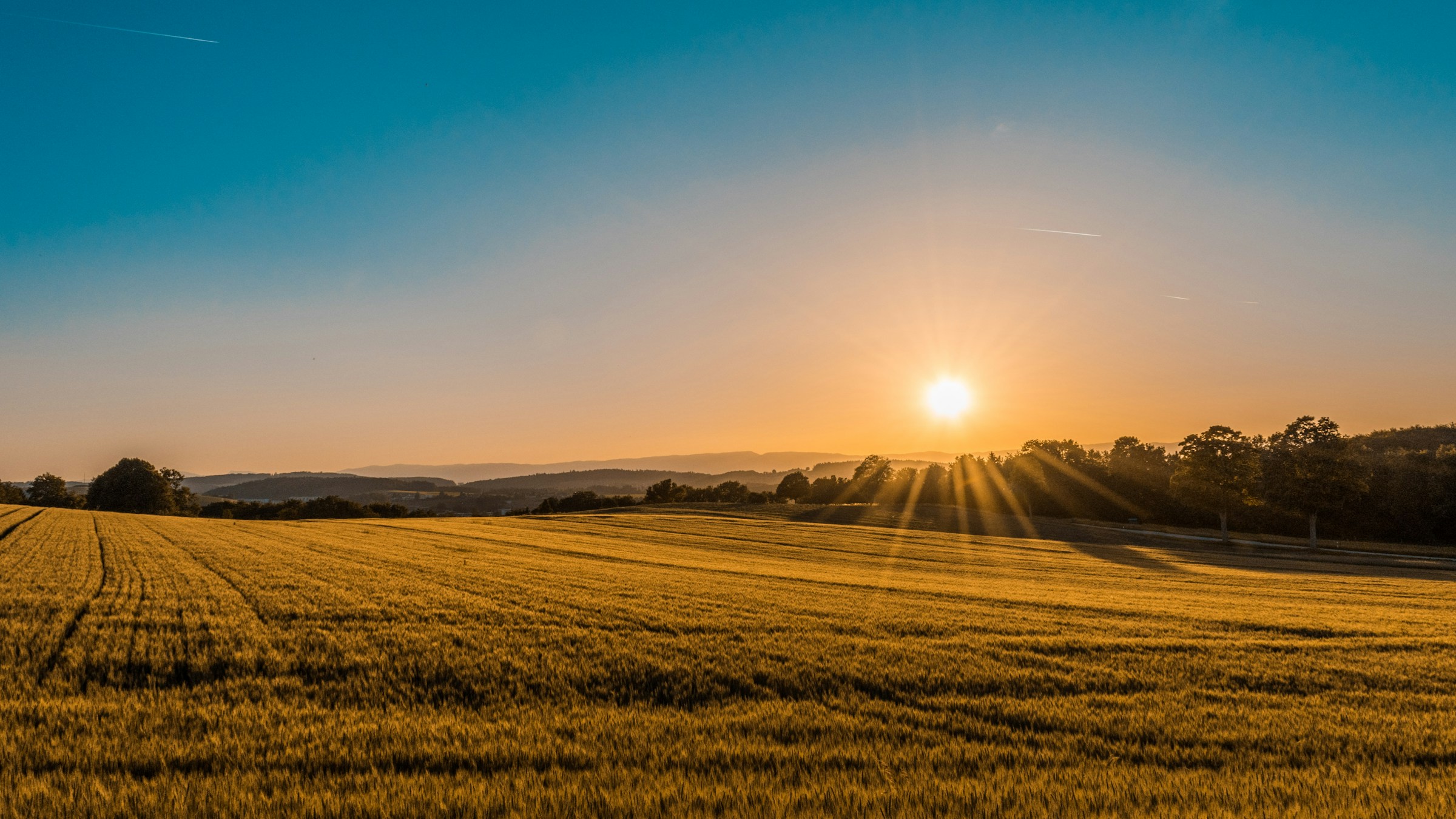 sunrise over a field, spring or early summer